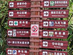 -西双版纳原始森林公园