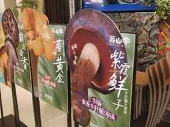 -芸山季·云南山珍菌火锅(人民广场来福士店)