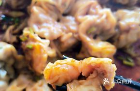 Special Handmade Large Wontons