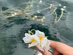 -丽江泸沽湖景区