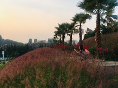 -白石龙音乐公园