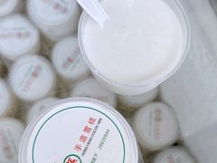-洪馨椰子