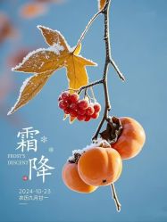 -雅曼妮spa美容养生