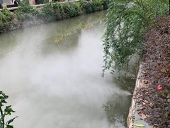 -眉山湿地公园(东坡区)