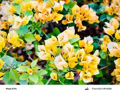 -光明小镇欢乐田园