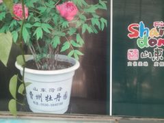 -曹州牡丹园