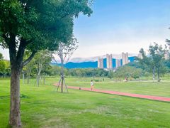 -牛岗山公园