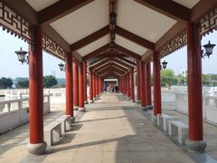 -七叔是岛民(花基新村店)