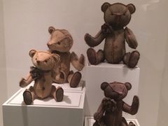 iphone_upload_pic-济州岛泰迪熊博物馆