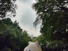 -广州兰圃