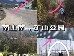 -南山植物园