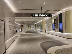 -英皇电影城(平安金融中心IMAX激光店)