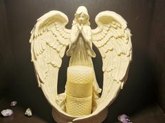 -雪灵魔法世界SHELLY’S TAROT(大良桂畔里店)