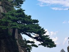 -黄山风景区