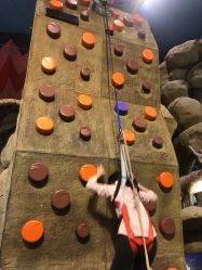 -卡通尼·Safari非洲探索乐园·生日会(金桥国际商业广场店)