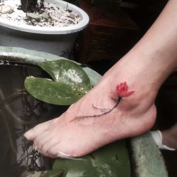 植物 小荷-游刃刺青TATTOO纹身工作室