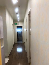 -YESIDO椰岛造型