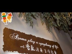 -芳香乐府疗愈空间·SPA·冥想