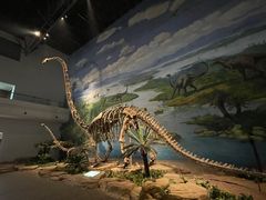 -自贡恐龙博物馆