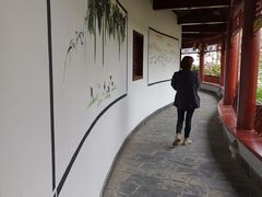 -南汇桃花村