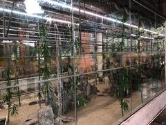 -荔城生鲜盛宴(番禺旗舰店)
