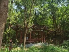 -云岗森林公园