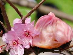 -王興記(中山路店)