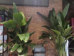 -梦想之巅·青少年篮球·羽毛球·培训中心(西站店)