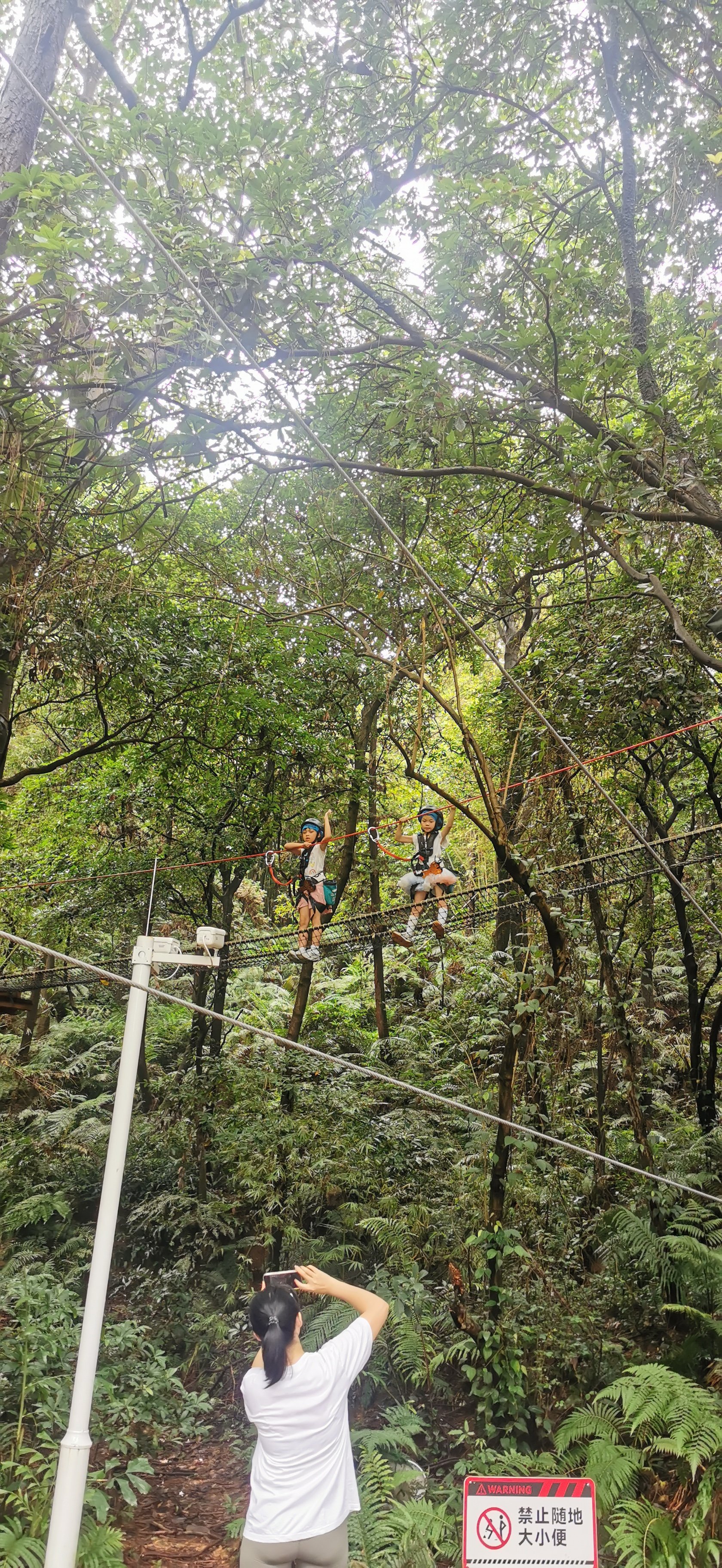 天竺山飞越丛林图片