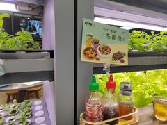 -蔡澜PHO(海岸城店)