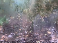 -上海昆虫博物馆