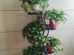 -红菜坊·烤鸭·川鲁宴(石园店)