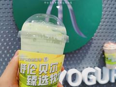 -茉酸奶(春熙路店)