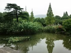 -习家池