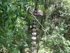 -清迈丛林飞跃 JungleFlight