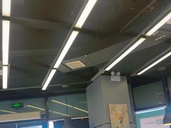 -MT麦如麦立送(五矿live店)