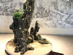 -扬州大运河文化旅游度假区·盆景园