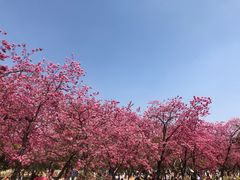 -昆明动物园