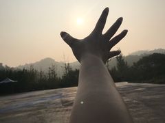 -千年银杏谷文化旅游区