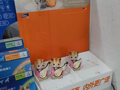 -瑞鹏·疫苗·绝育·宠物医院(广九店)