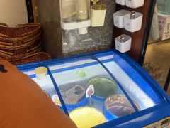 -野妹火锅(布吉店)