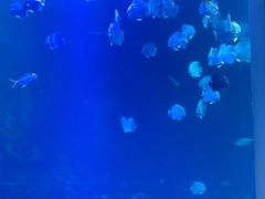 -太平洋海底世界