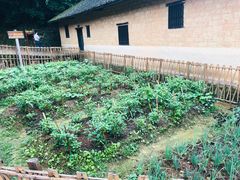 -韶山毛泽东同志故居