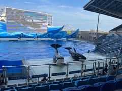 -上海海昌海洋公园