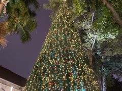 -广州市基督教东山堂