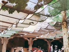 -Tangled Tree Tavern 老藤树食栈