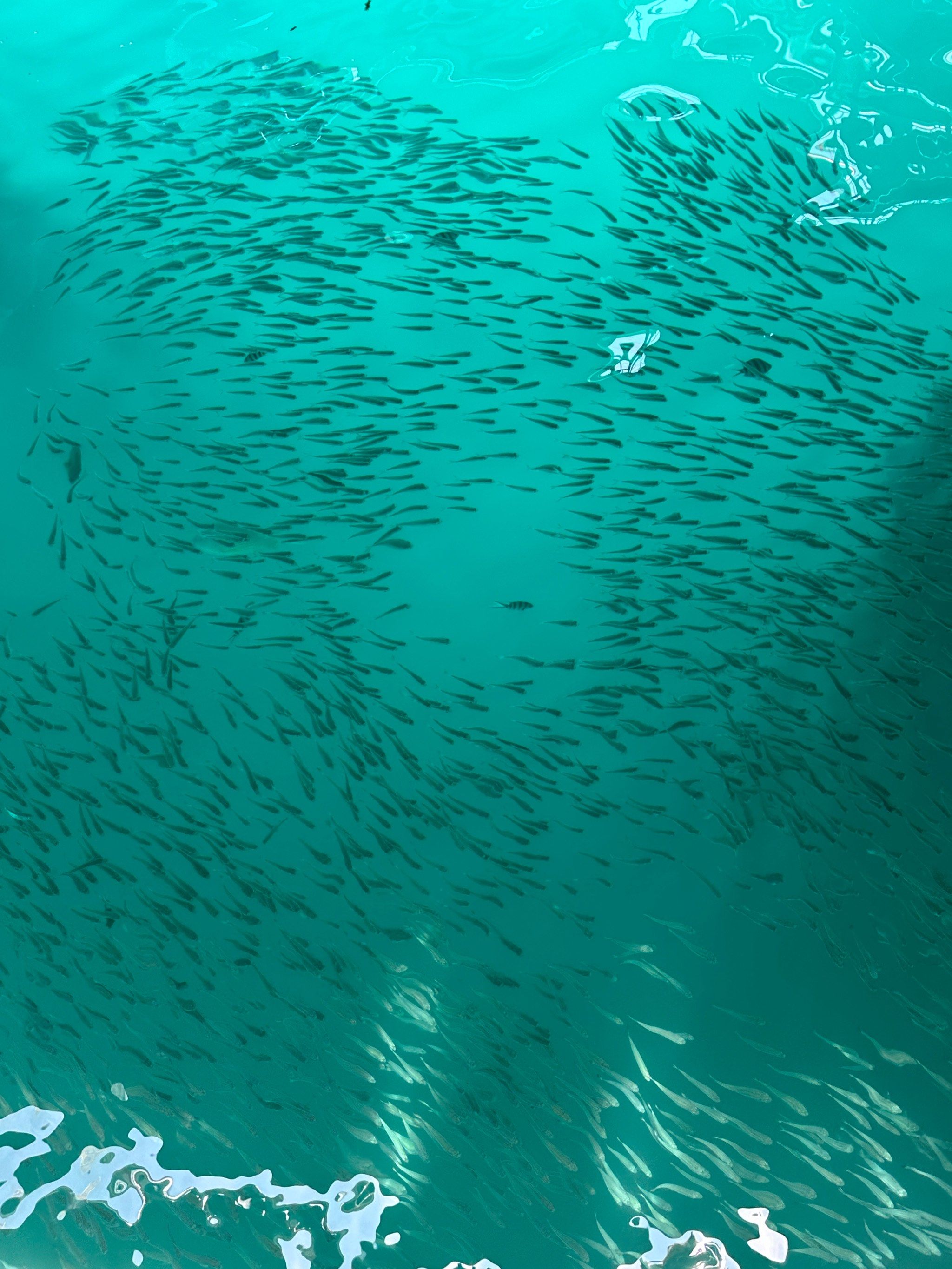 海天清澈对比