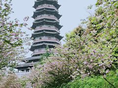 -重庆园博园