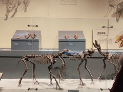 -大庆市博物馆