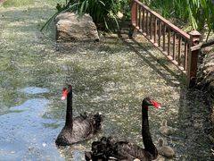 -济南喜来登酒店